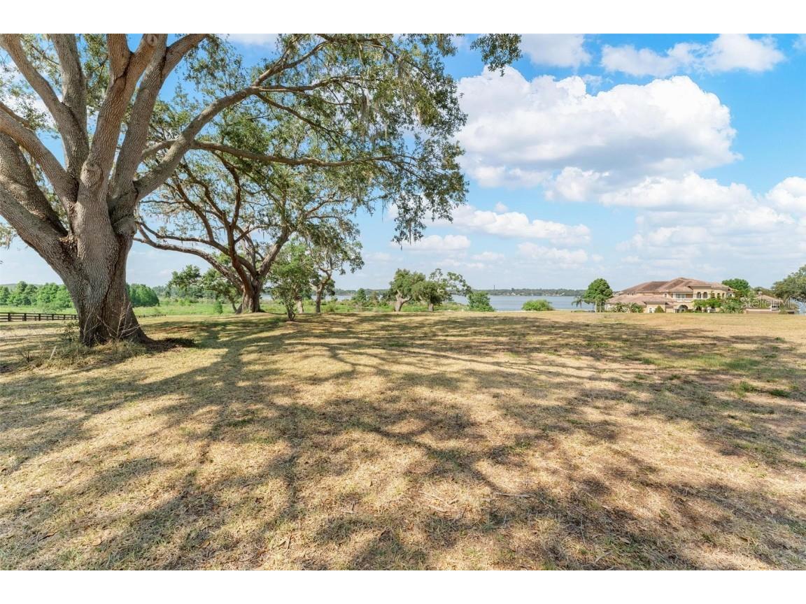 Lot 29 Stonelake Ranch Blvd Thonotosassa FL 33592 - LAKE THONOTOSASSA TB8405768 image36