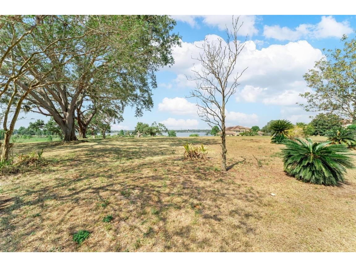 Lot 29 Stonelake Ranch Blvd Thonotosassa FL 33592 - LAKE THONOTOSASSA TB8405768 image37