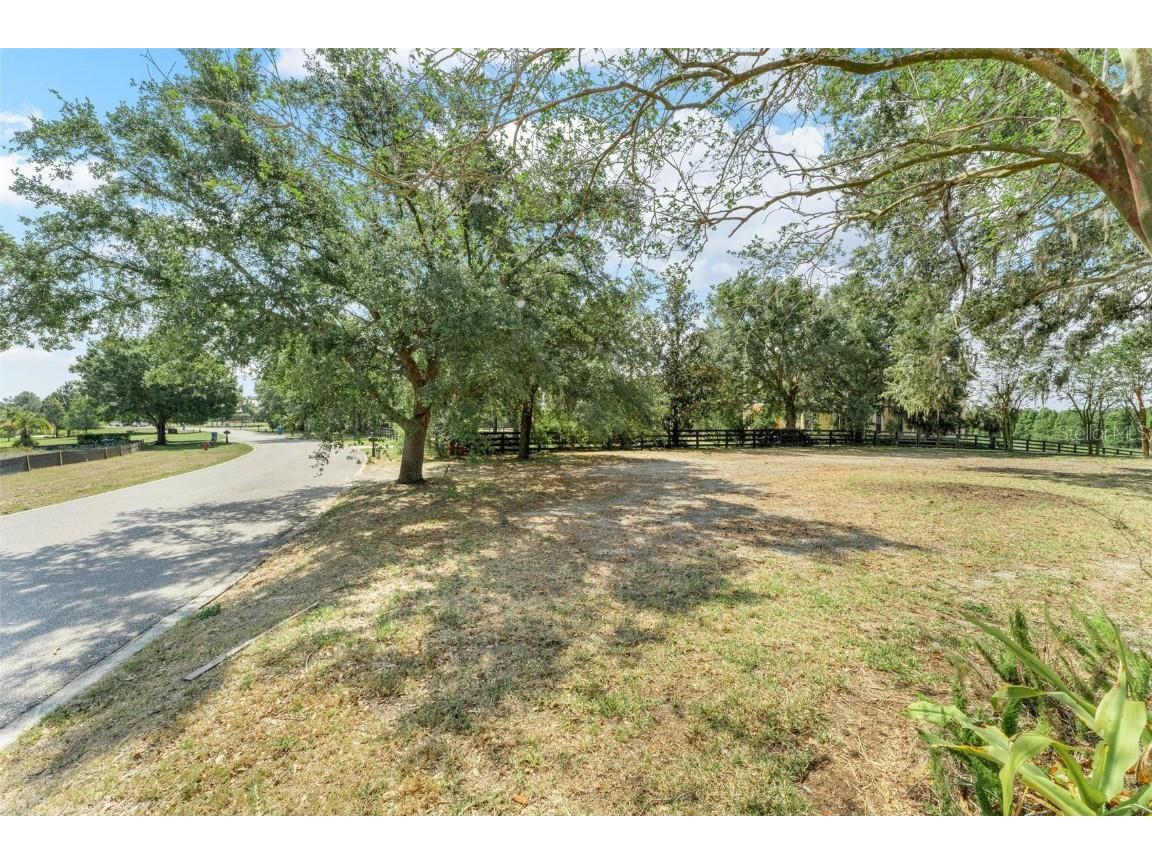 Lot 29 Stonelake Ranch Blvd Thonotosassa FL 33592 - LAKE THONOTOSASSA TB8405768 image38