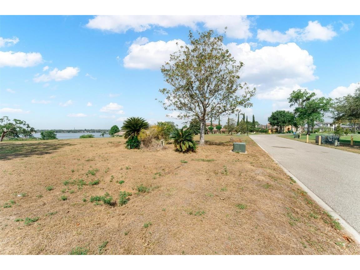 Lot 29 Stonelake Ranch Blvd Thonotosassa FL 33592 - LAKE THONOTOSASSA TB8405768 image39