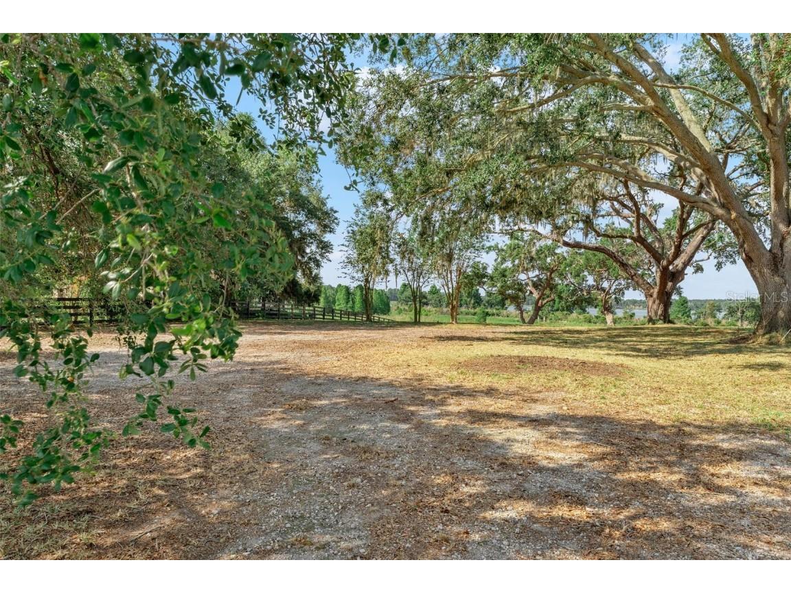 Lot 29 Stonelake Ranch Blvd Thonotosassa FL 33592 - LAKE THONOTOSASSA TB8405768 image4