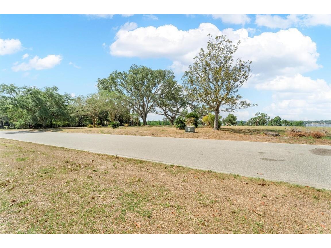 Lot 29 Stonelake Ranch Blvd Thonotosassa FL 33592 - LAKE THONOTOSASSA TB8405768 image40