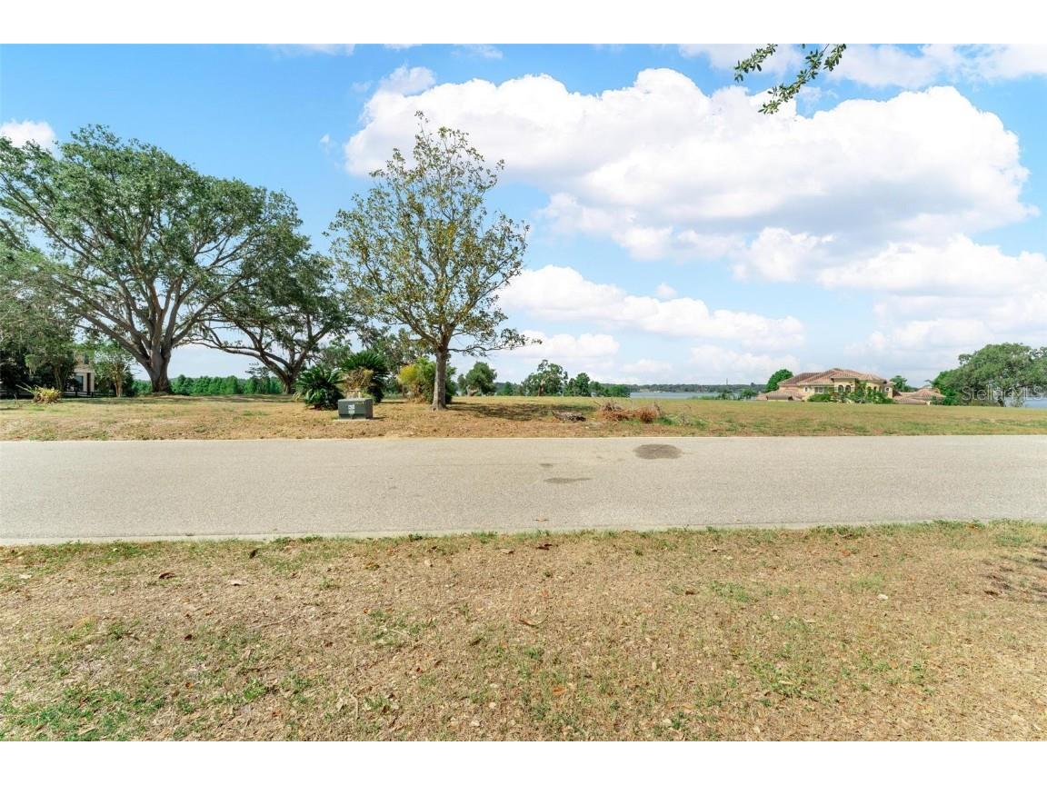 Lot 29 Stonelake Ranch Blvd Thonotosassa FL 33592 - LAKE THONOTOSASSA TB8405768 image41