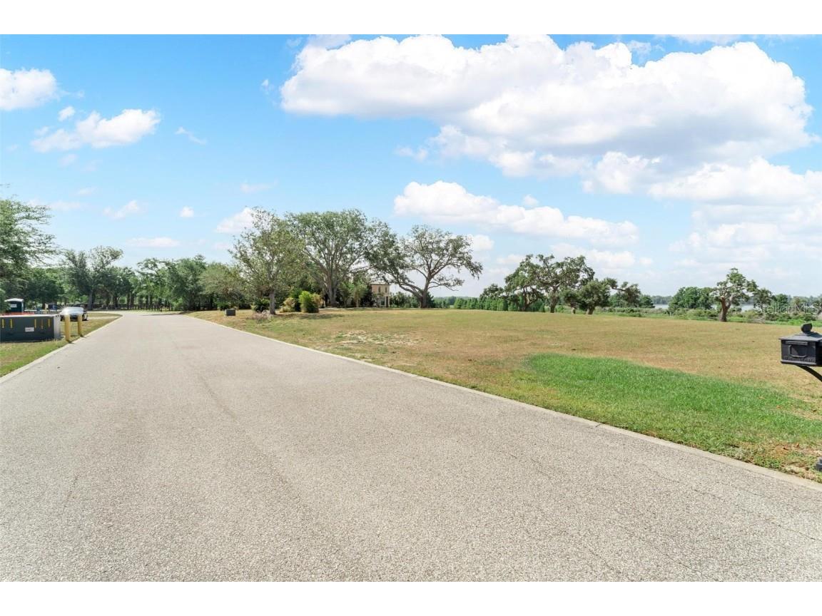 Lot 29 Stonelake Ranch Blvd Thonotosassa FL 33592 - LAKE THONOTOSASSA TB8405768 image42