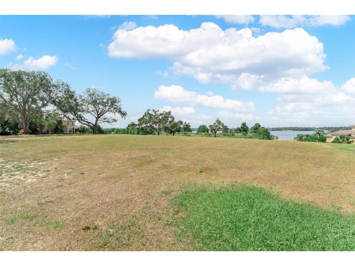 Lot 29 Stonelake Ranch Blvd Thonotosassa FL 33592 - LAKE THONOTOSASSA TB8405768 image43