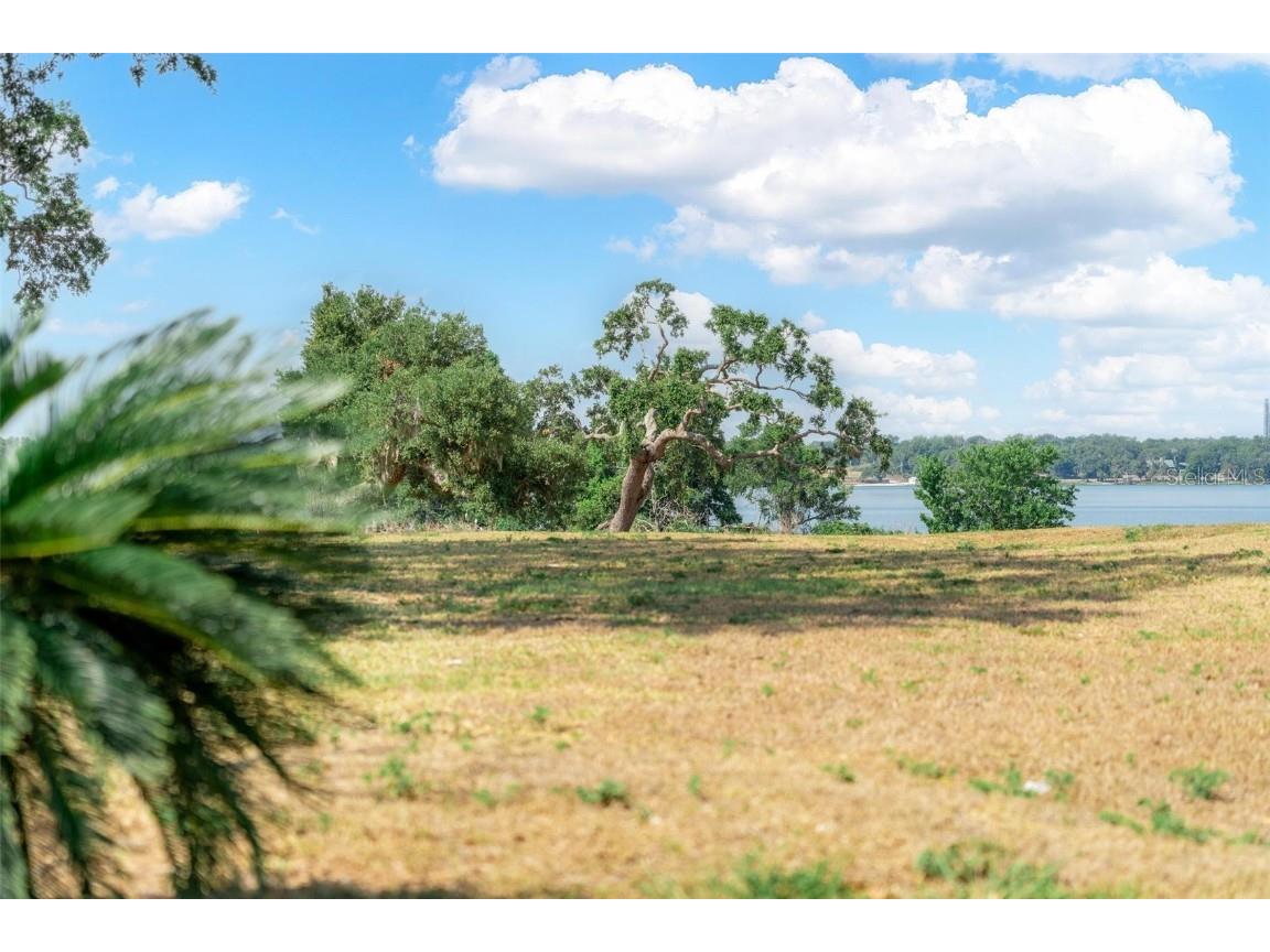 Lot 29 Stonelake Ranch Blvd Thonotosassa FL 33592 - LAKE THONOTOSASSA TB8405768 image44