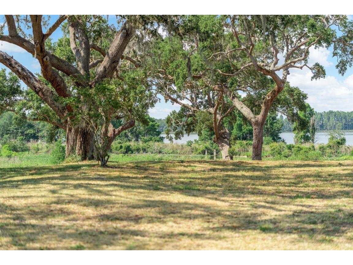 Lot 29 Stonelake Ranch Blvd Thonotosassa FL 33592 - LAKE THONOTOSASSA TB8405768 image45
