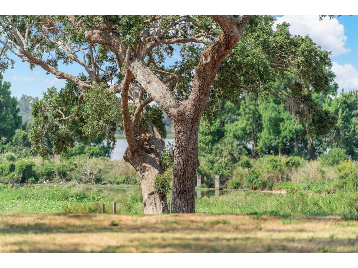Lot 29 Stonelake Ranch Blvd Thonotosassa FL 33592 - LAKE THONOTOSASSA TB8405768 image46