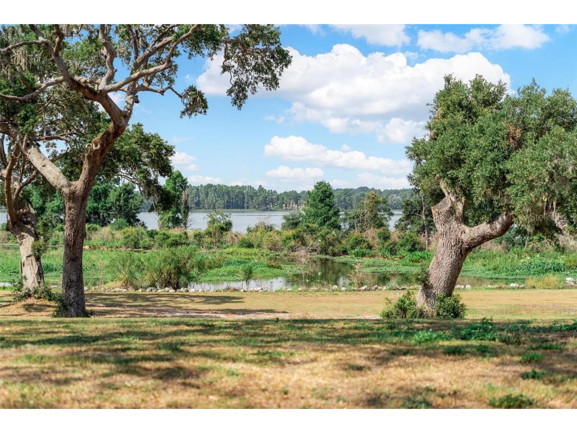 Lot 29 Stonelake Ranch Blvd Thonotosassa FL 33592 - LAKE THONOTOSASSA TB8405768 image47