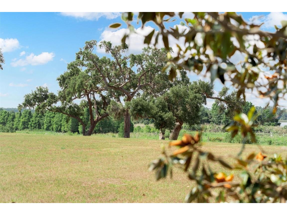 Lot 29 Stonelake Ranch Blvd Thonotosassa FL 33592 - LAKE THONOTOSASSA TB8405768 image48