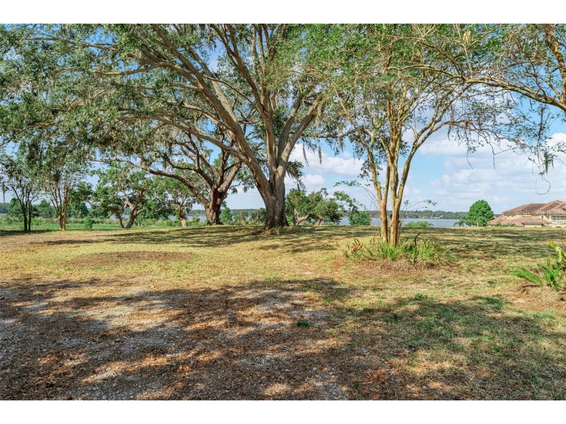 Lot 29 Stonelake Ranch Blvd Thonotosassa FL 33592 - LAKE THONOTOSASSA TB8405768 image5