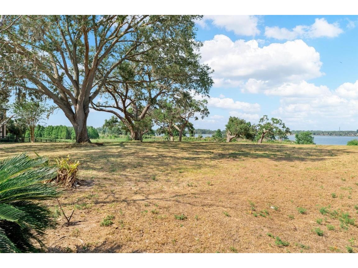 Lot 29 Stonelake Ranch Blvd Thonotosassa FL 33592 - LAKE THONOTOSASSA TB8405768 image6