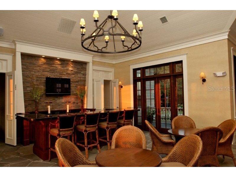 Lot 29 Stonelake Ranch Blvd Thonotosassa FL 33592 - LAKE THONOTOSASSA TB8405768 image79