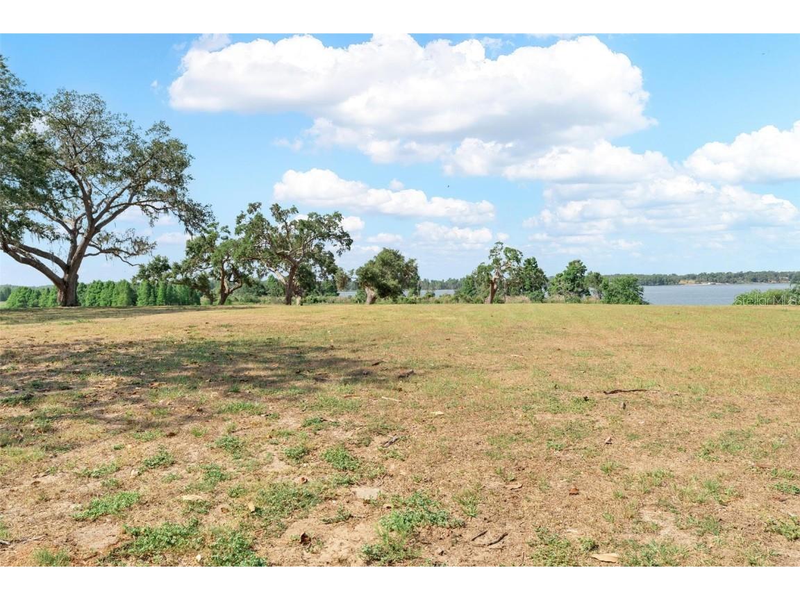 Lot 29 Stonelake Ranch Blvd Thonotosassa FL 33592 - LAKE THONOTOSASSA TB8405768 image8