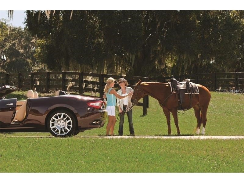 Lot 29 Stonelake Ranch Blvd Thonotosassa FL 33592 - LAKE THONOTOSASSA TB8405768 image80