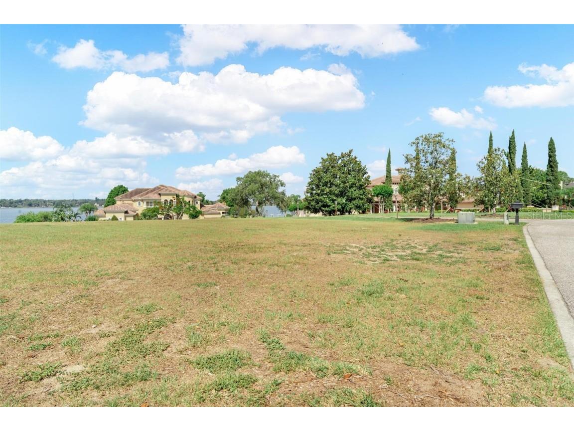 Lot 29 Stonelake Ranch Blvd Thonotosassa FL 33592 - LAKE THONOTOSASSA TB8405768 image9