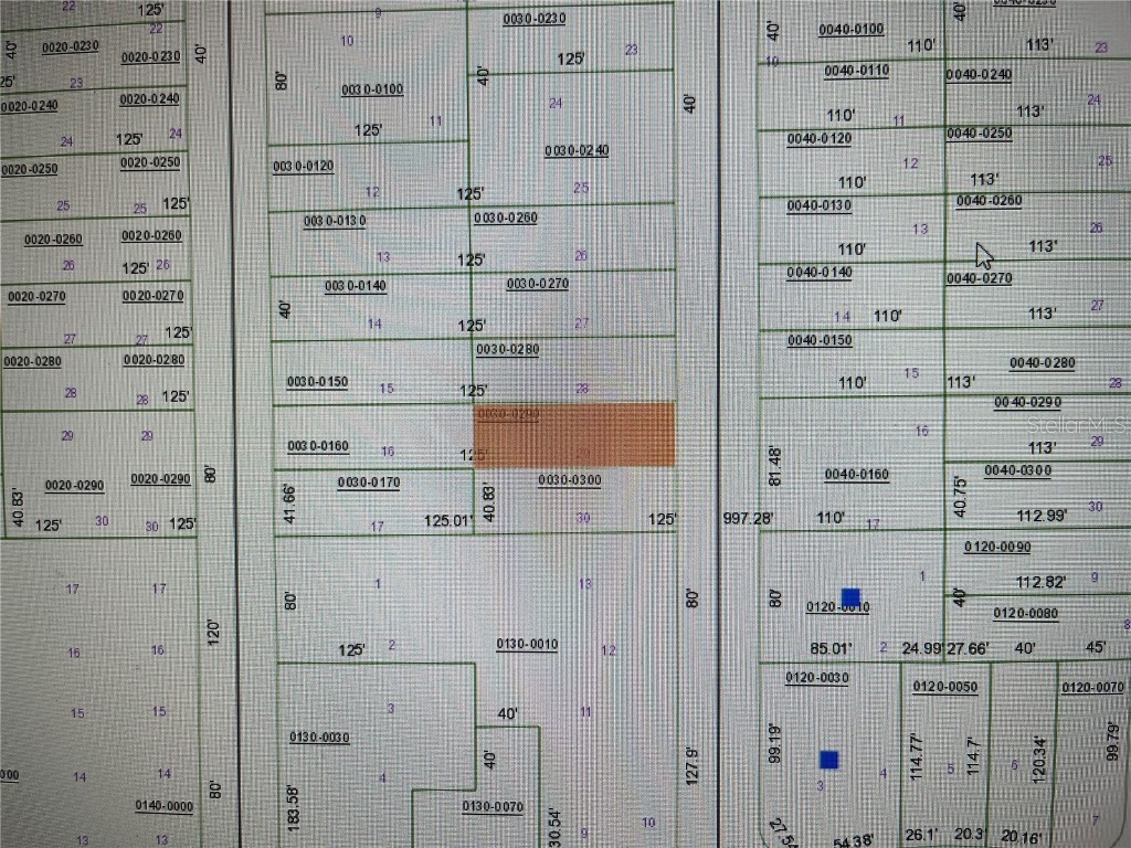 Lot 29 Sw 57th Avenue Interlachen FL 32148 FC306238 image2