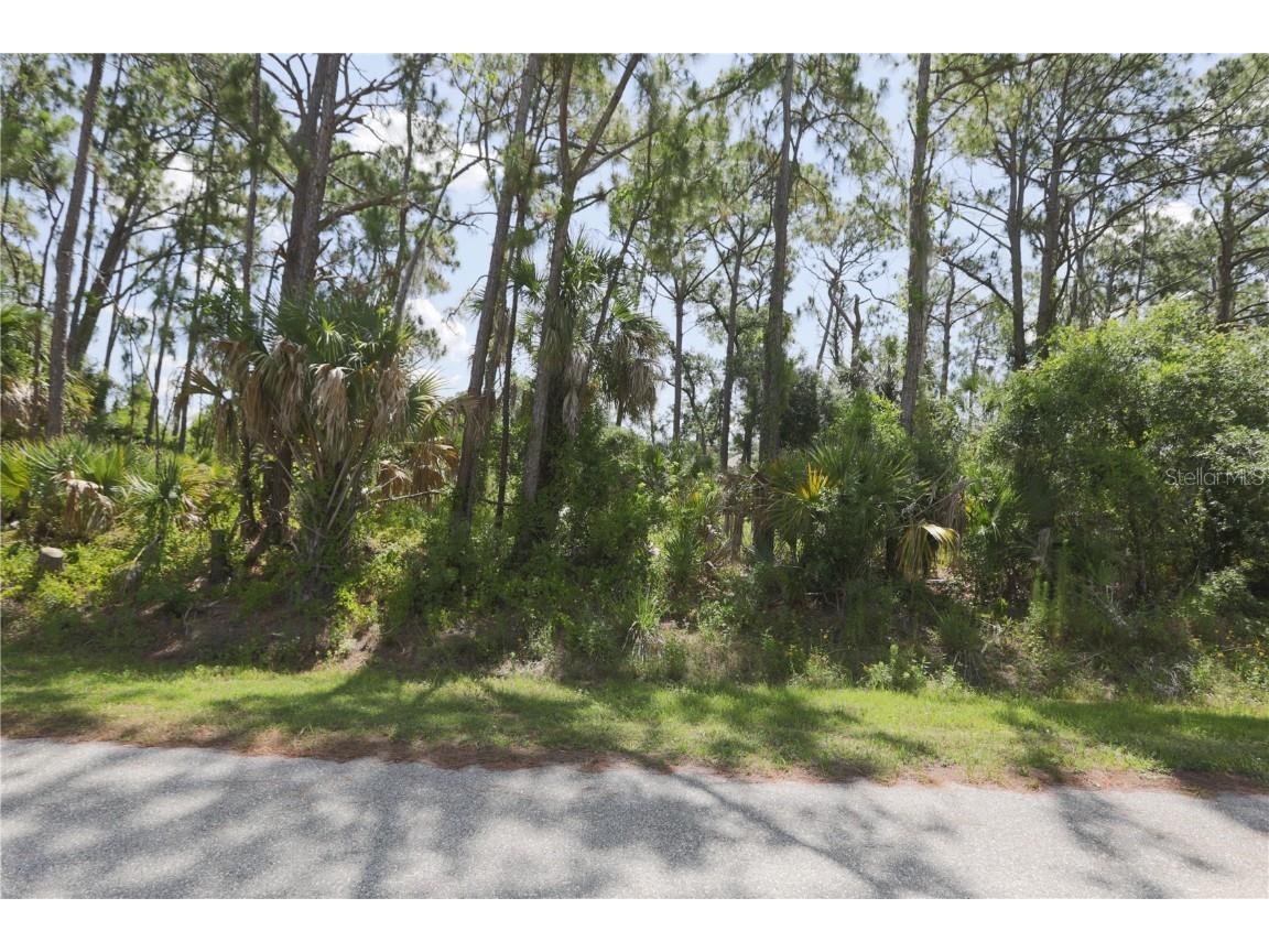 Lot 3 Bamonte Street North Port FL 34286 A4612096 image1