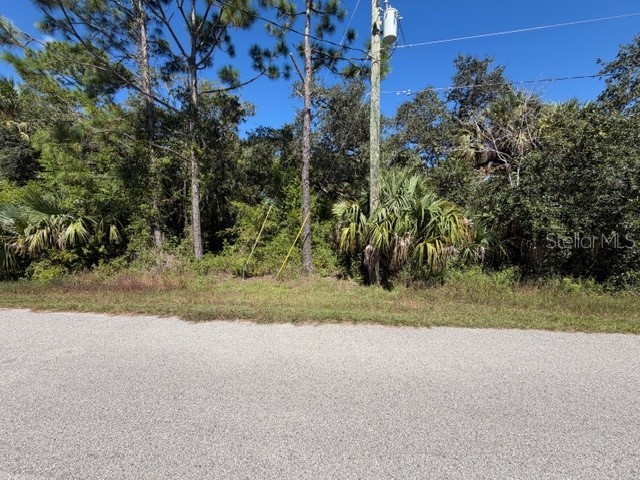 Lot 3 Bernhard Road North Port FL 34288 A4666240 image5