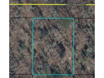 Lot 3 Brierdale Street Chipley FL 32428 OM699705 image2