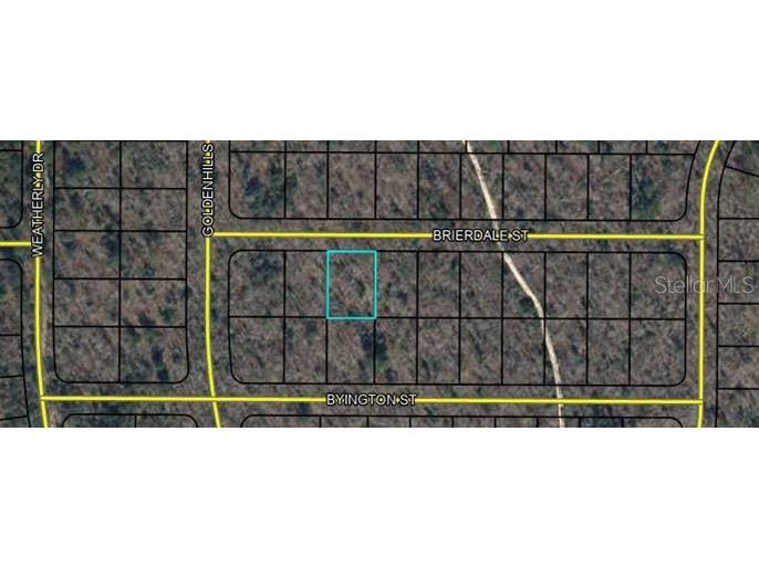 Lot 3 Brierdale Street Chipley FL 32428 OM699705 image3