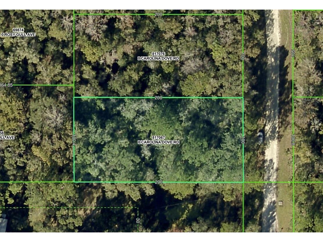 Lot 3 Carolina Dove Road Weeki Wachee FL 34614 W7871412 image1