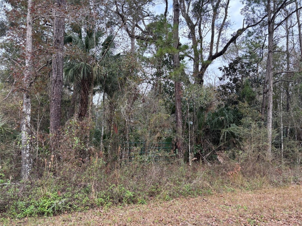 Lot 3 Carolina Dove Road Weeki Wachee FL 34614 W7871412 image3