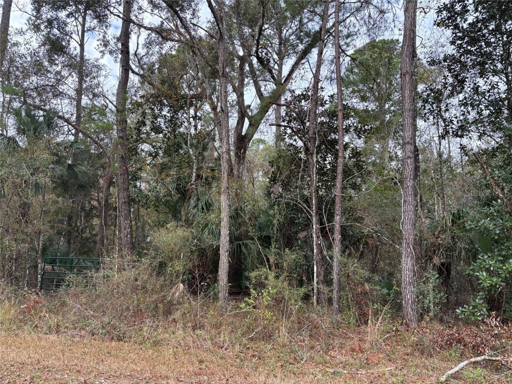 Lot 3 Carolina Dove Road Weeki Wachee FL 34614 W7871412 image4