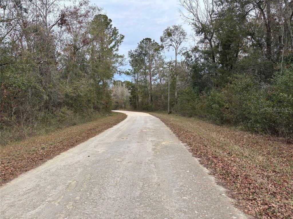 Lot 3 Carolina Dove Road Weeki Wachee FL 34614 W7871412 image5