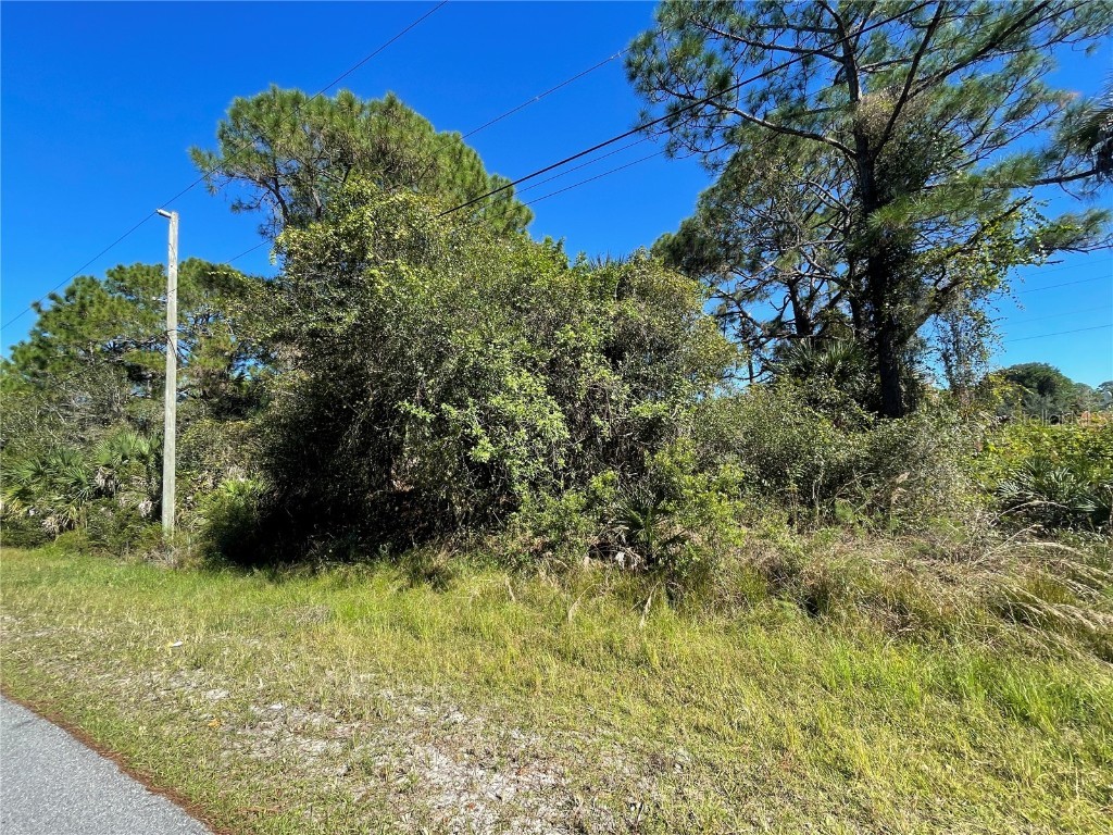 Lot 3 Dongola Street North Port FL 34291 C7451512 image1