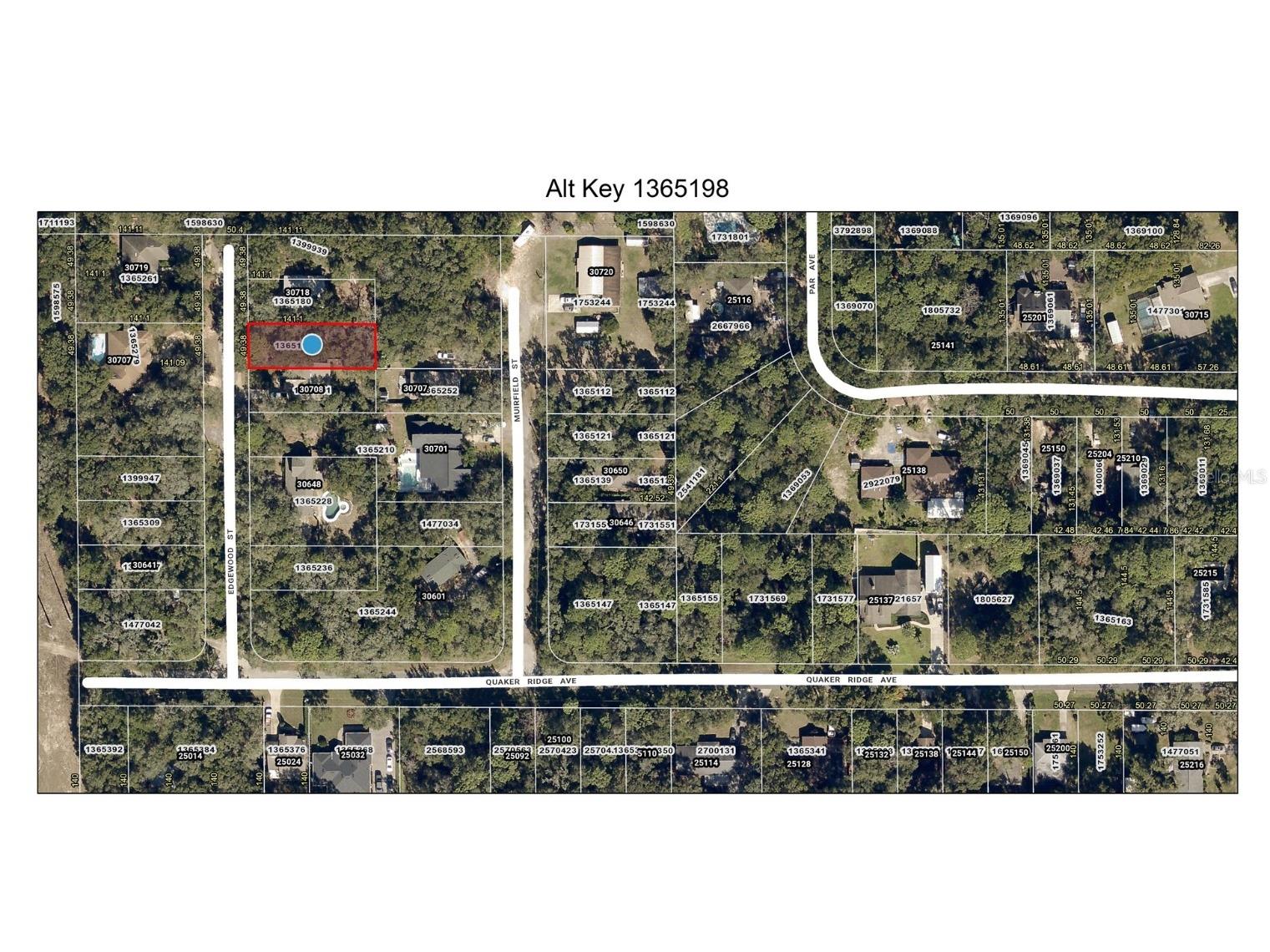 Lot 3 Edgewood Street Mount Plymouth FL 32776 O6120113 image1