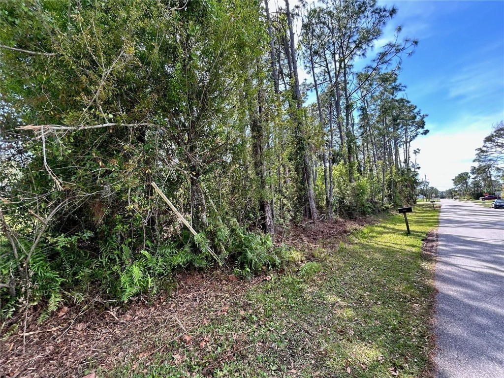 Lot 3 Geranium Avenue North Port FL 34288 A4635040 image1