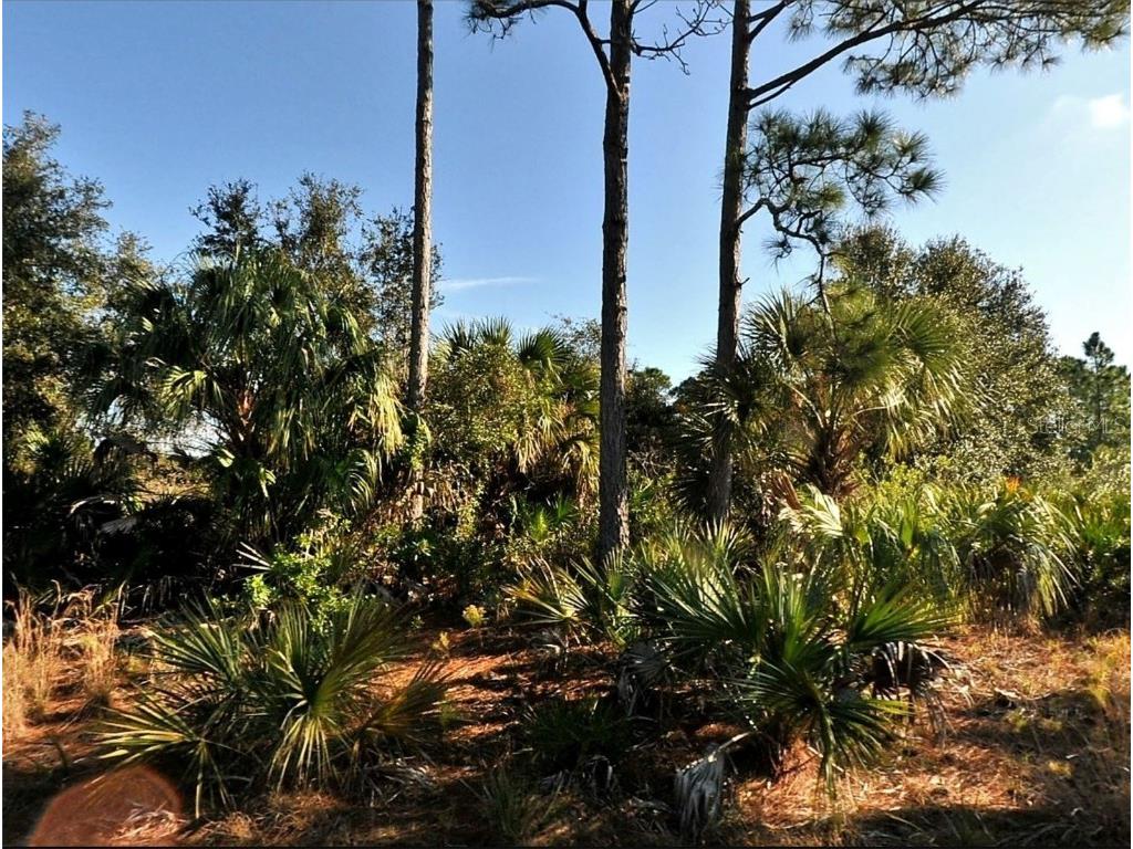 Lot 3 Hamburg Drive North Port FL 34288 C7481257 image1