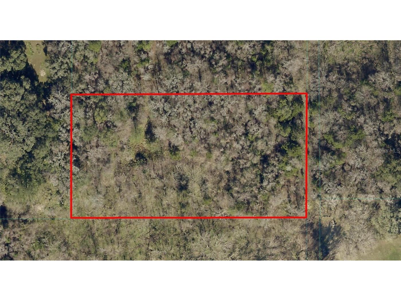 Lot 3 Lillian Avenue Belleview FL 34420 OM654109 image1