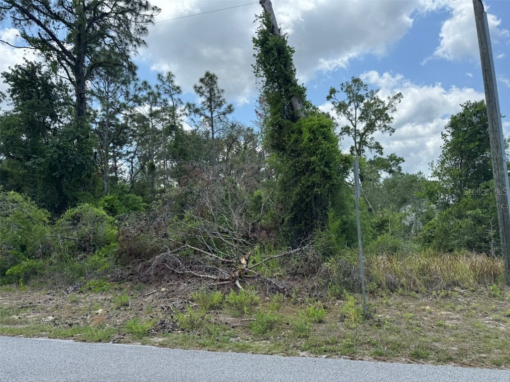Lot 3 Long Lake Avenue Weeki Wachee FL 34613 A4652967 image1