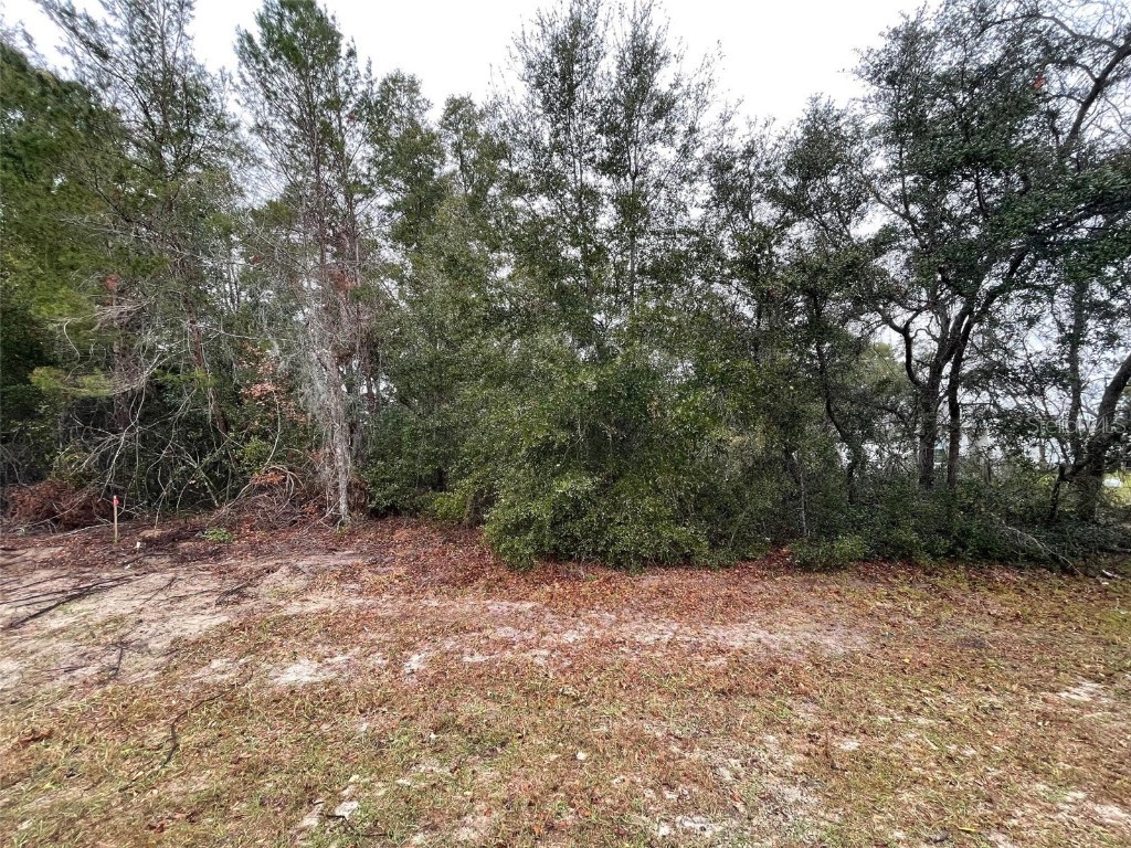 Lot 3 Marion Oaks Lane Ocala FL 34473 OM692544 image1