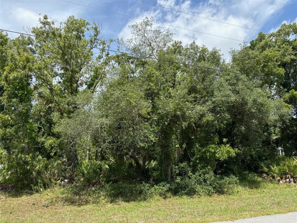 Lot 3 Mavis Road Weeki Wachee FL 34613 W7865917 image1