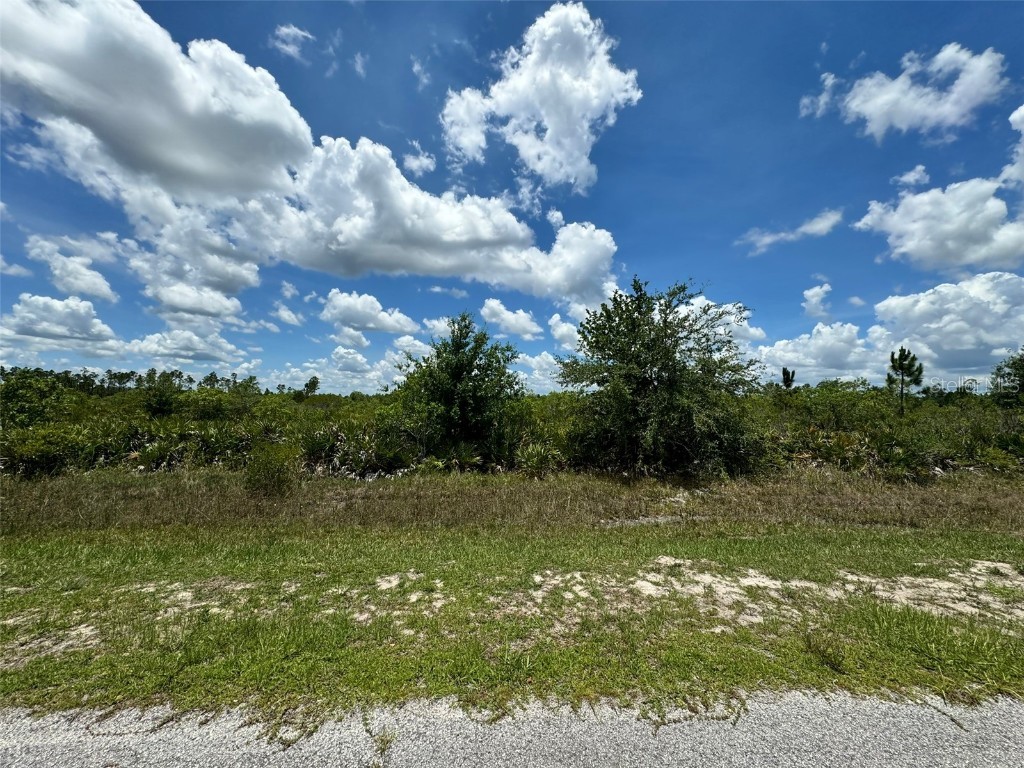 Lot #3 Meadowlark Boulevard Indian Lake Estates FL 33855 - LAKE WEOHYAKAPKA L4946567 image5