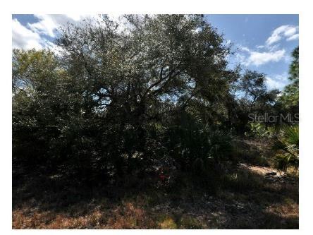 Lot 3 Morrisette Lane North Port FL 34288 D6143074 image3