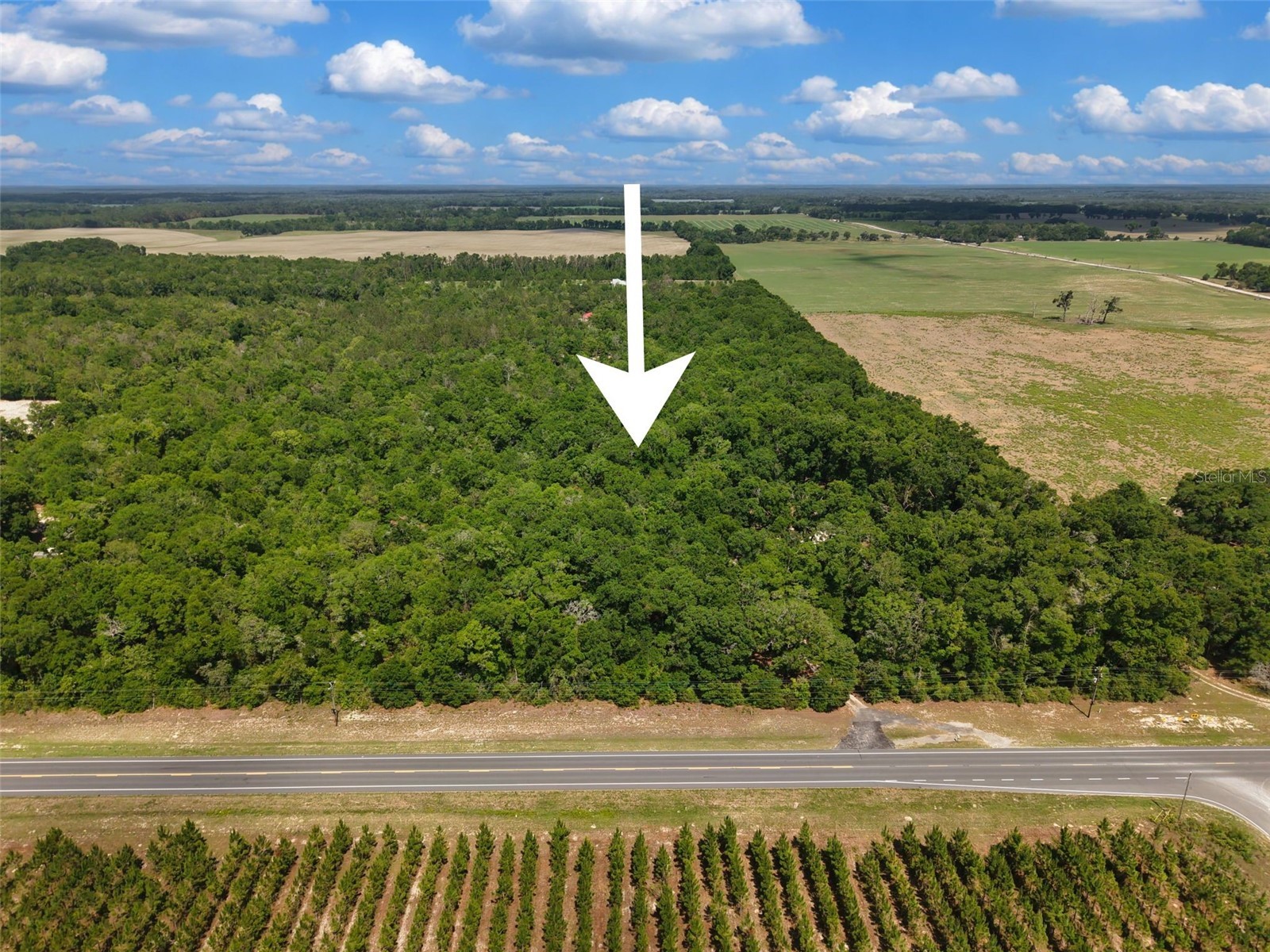Lot 3 N State Rd 129 Branford FL 32008 GC540427 image13