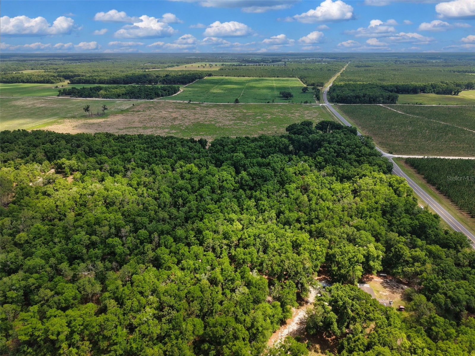 Lot 3 N State Rd 129 Branford FL 32008 GC540427 image8