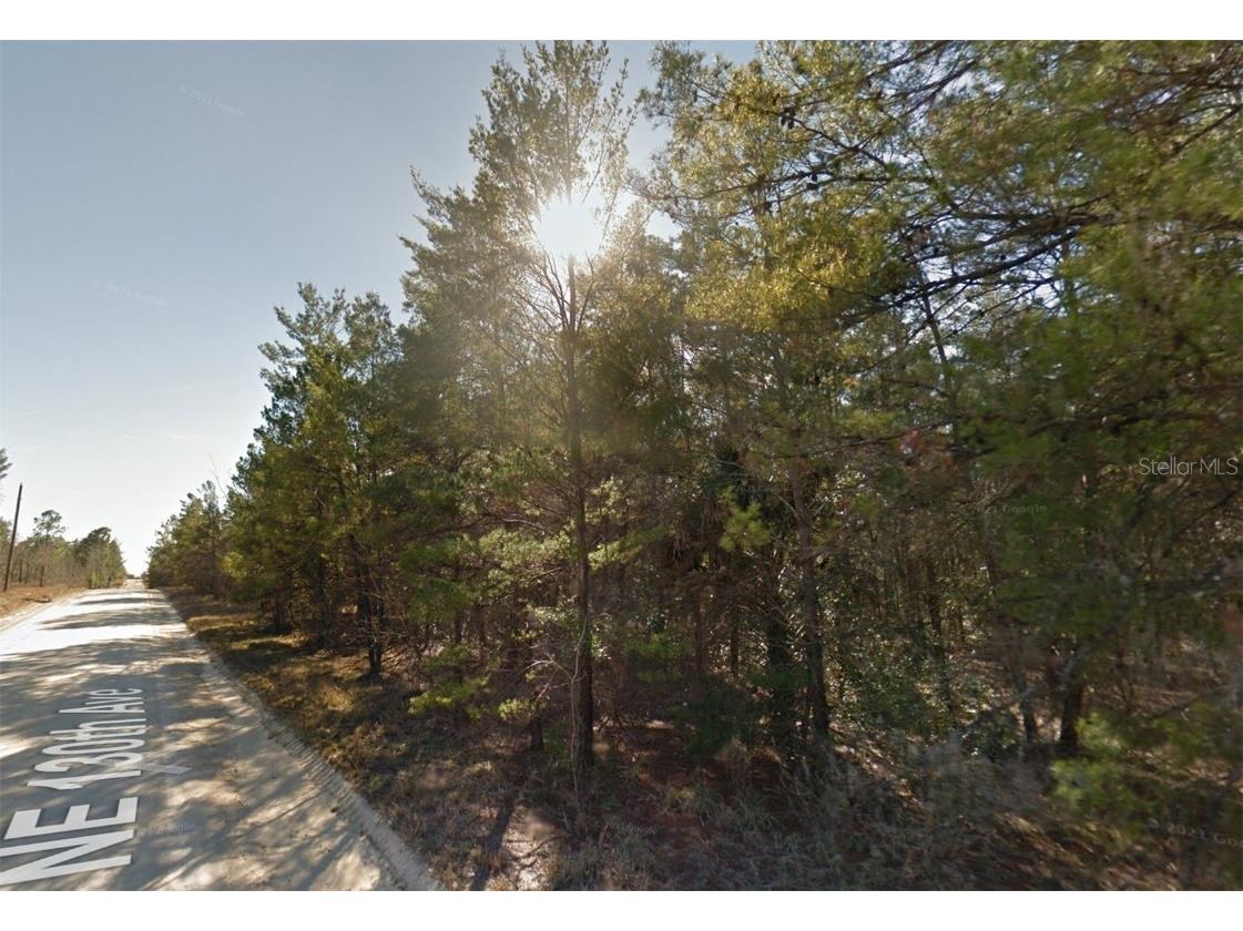 Lot 3 NE 130th Avenue Williston FL 32696 GC529238 image1