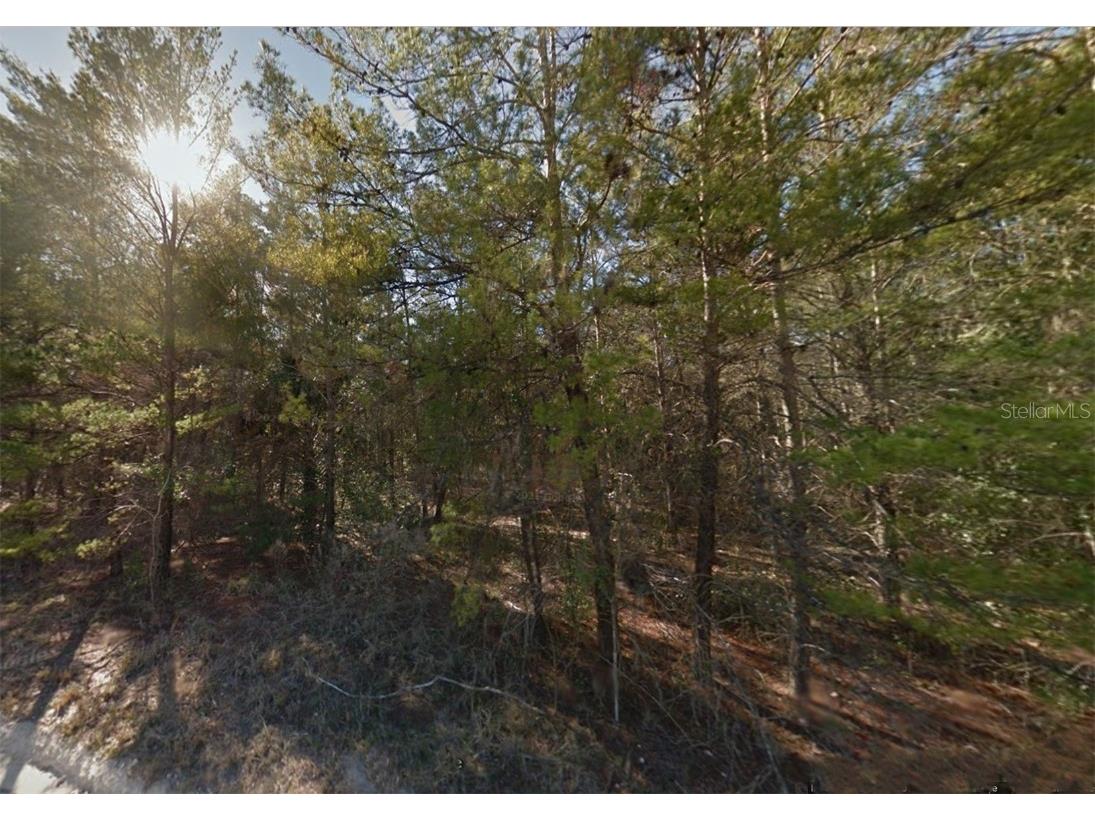 Lot 3 NE 130th Avenue Williston FL 32696 GC529238 image2