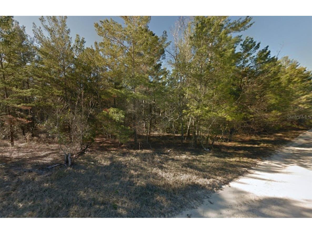 Lot 3 NE 130th Avenue Williston FL 32696 GC529238 image3