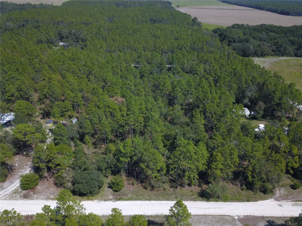Lot 3 NW 17th Court Bell FL 32619 GC515987 image1
