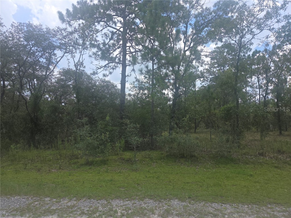Lot 3 SE 129 Court Dunnellon FL 34431 OM706535 image1