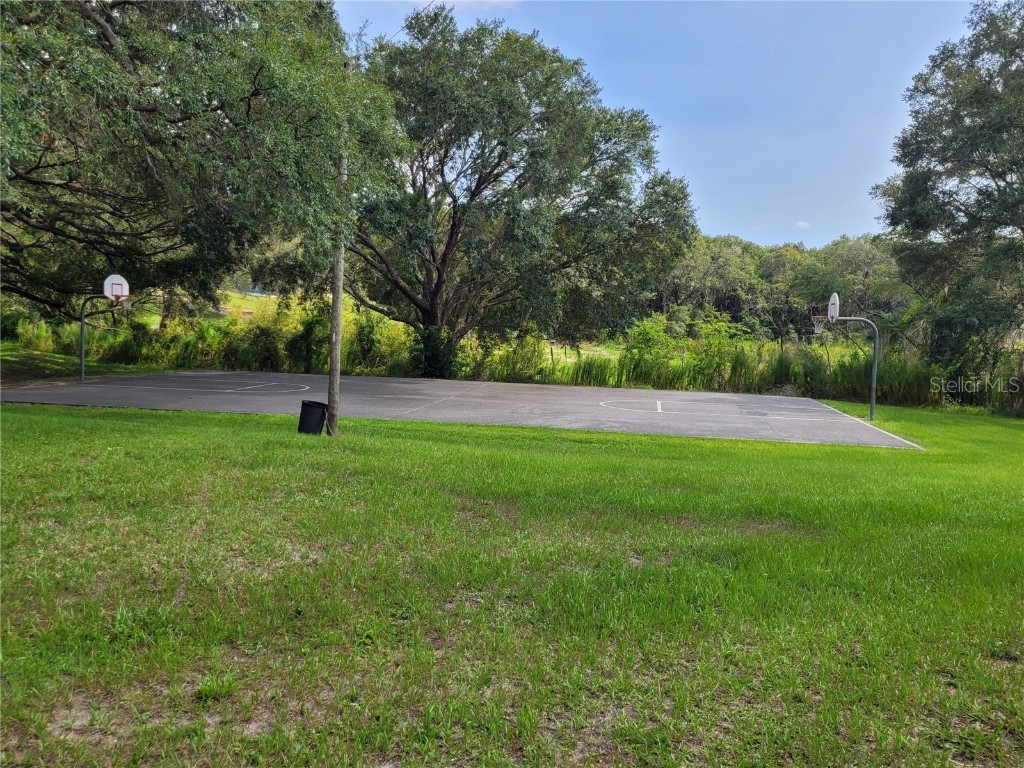 Lot 3 SE 129 Court Dunnellon FL 34431 OM706535 image18