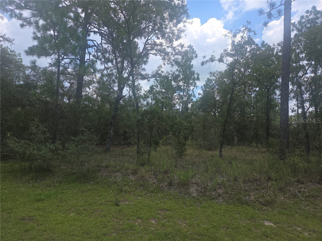 Lot 3 SE 129 Court Dunnellon FL 34431 OM706535 image2