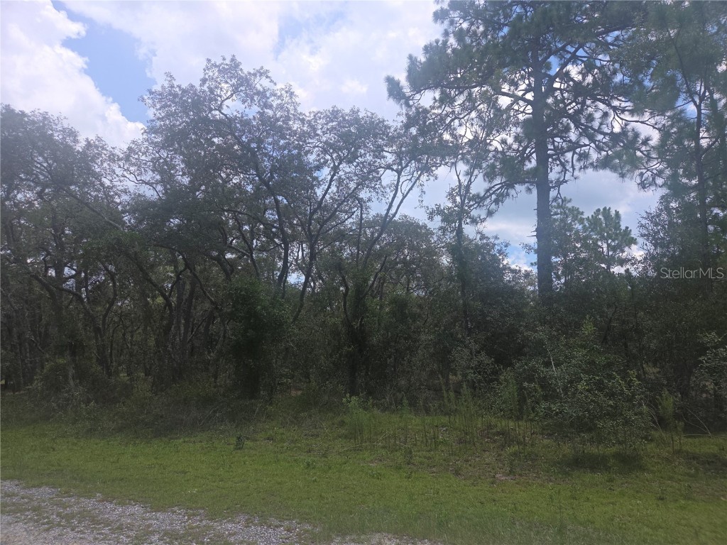 Lot 3 SE 129 Court Dunnellon FL 34431 OM706535 image3