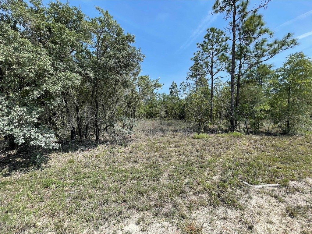 Lot 3 SE 53 Lane Morriston FL 32668 OM657697 image1